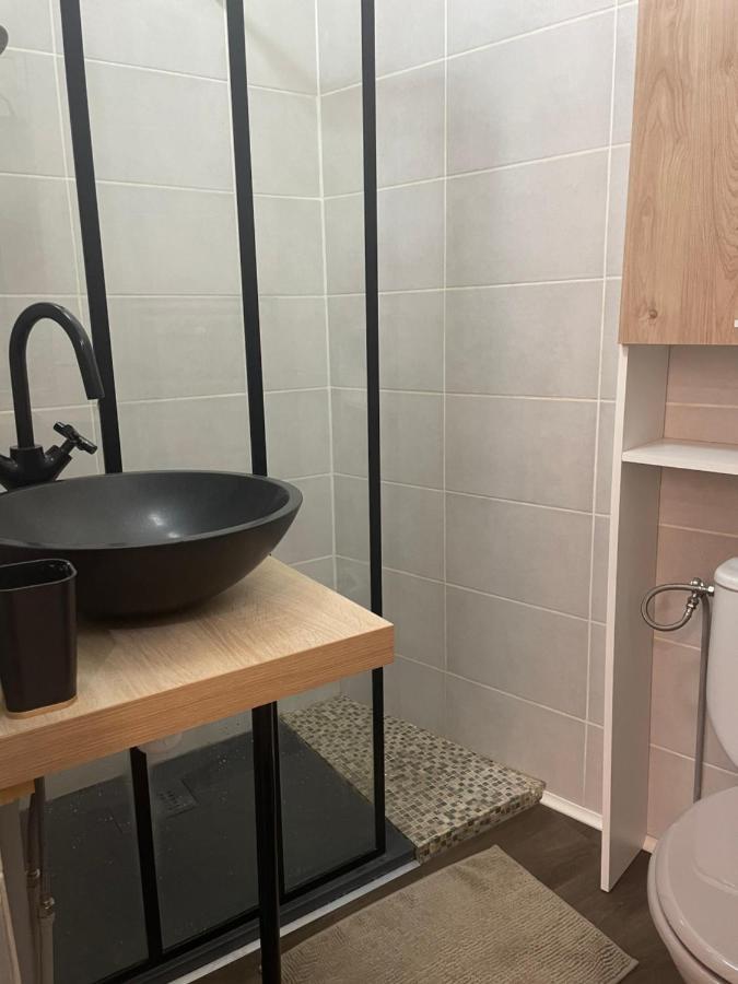 Appartement Cosy En Hyper Centre Toulouse Exteriör bild